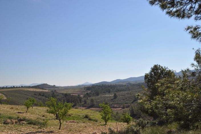 Image No.2-Terre à vendre à La Zarza