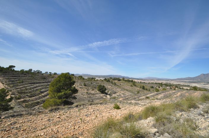 Image No.3-Terre à vendre à La Zarza