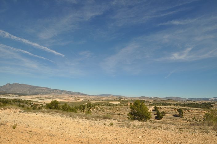 Image No.1-Terre à vendre à La Zarza