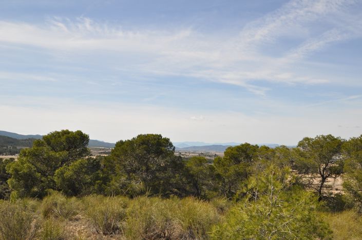 Image No.22-Terre à vendre à La Zarza