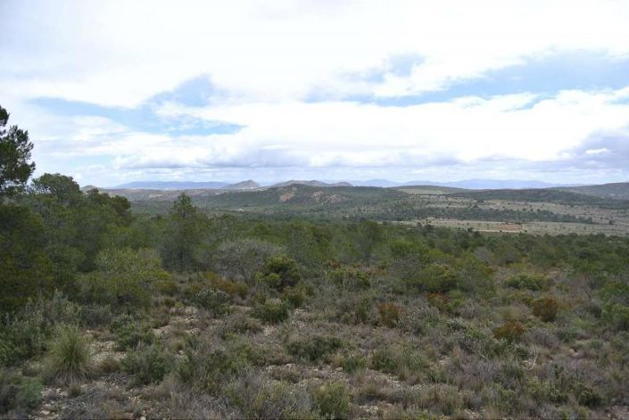 Image No.11-Land for sale
