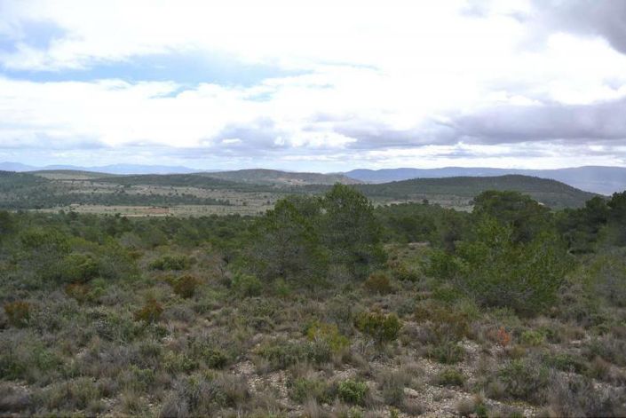 Image No.12-Land for sale