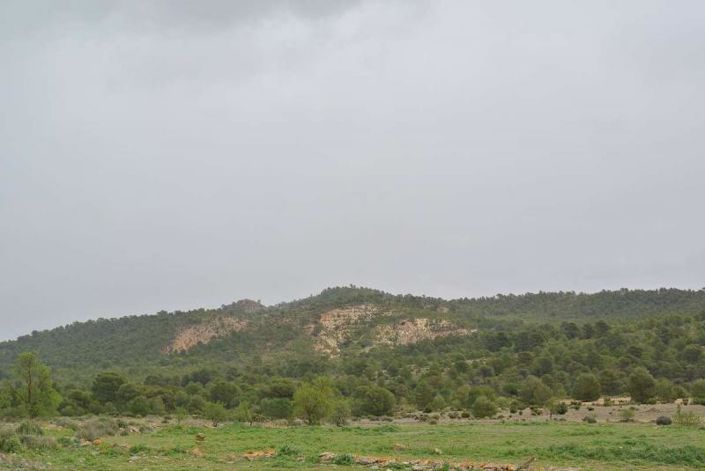 Image No.16-Land for sale