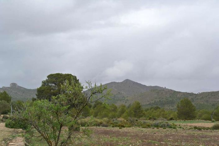 Image No.17-Land for sale