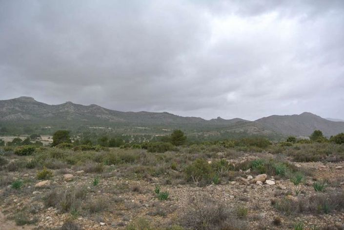 Image No.18-Land for sale