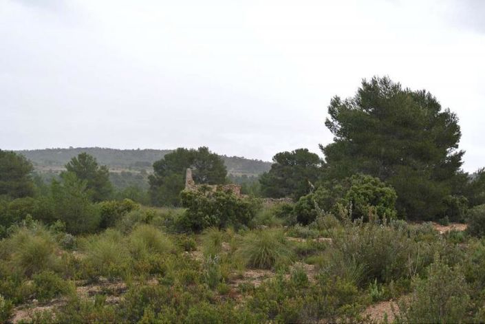 Image No.2-Land for sale