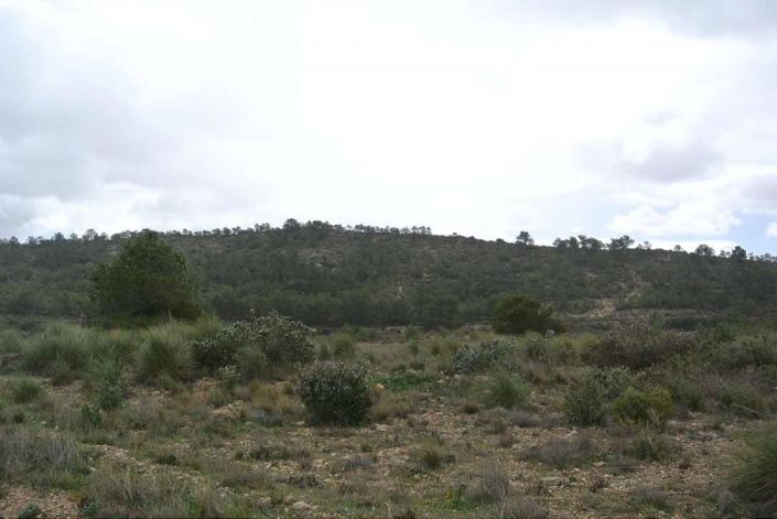 Image No.20-Land for sale