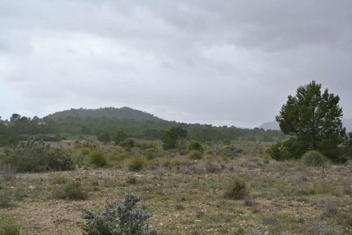 Image No.21-Land for sale
