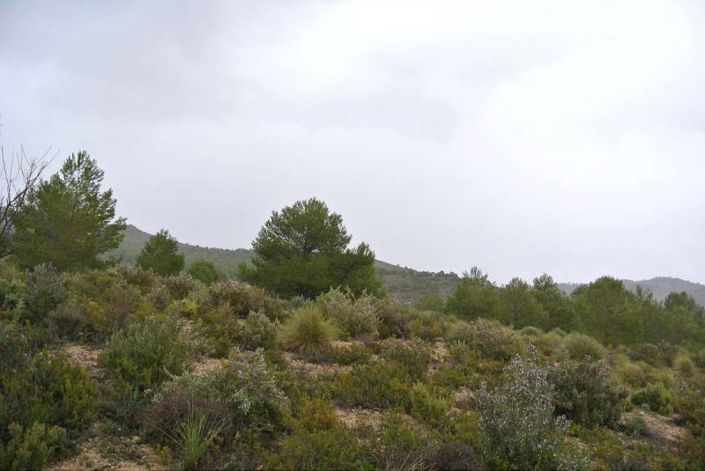 Image No.22-Land for sale