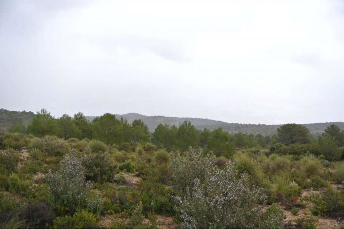 Image No.3-Land for sale
