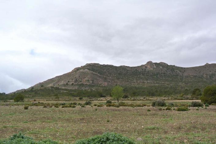 Image No.4-Land for sale