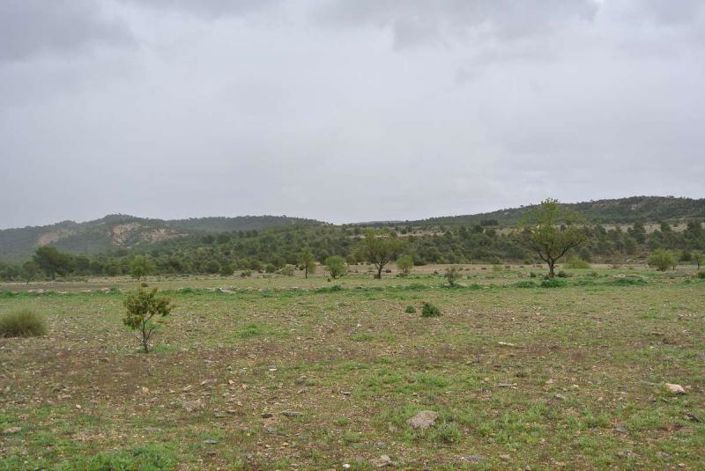 Image No.5-Land for sale