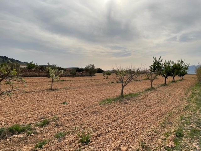 Image No.20-Land for sale