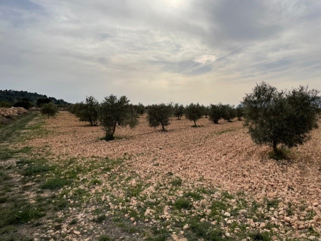 Image No.24-Land for sale