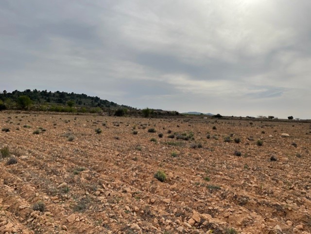 Image No.25-Land for sale