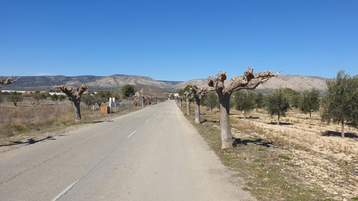 Image No.4-Land for sale