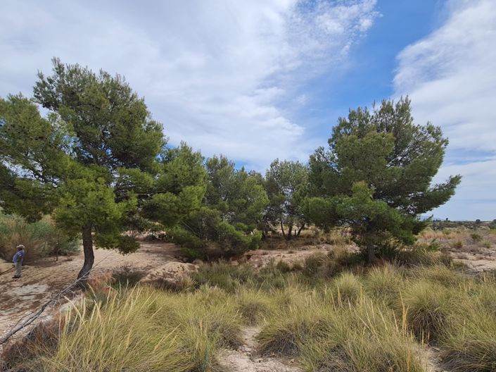 Image No.23-Property for sale