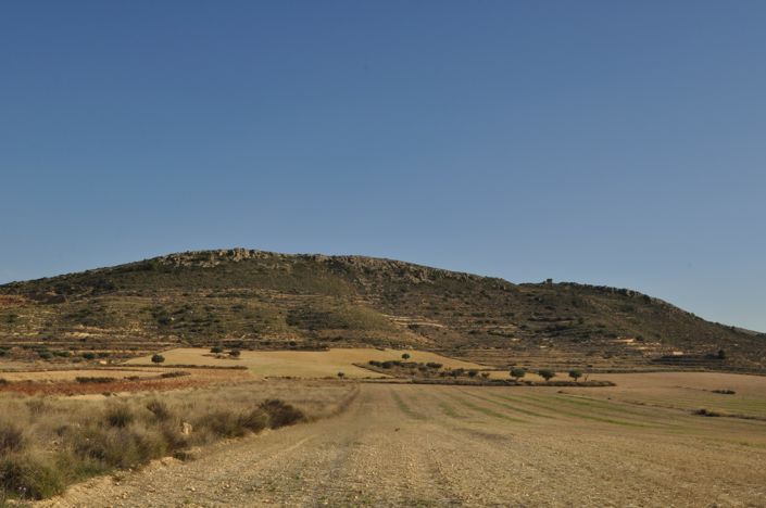 Image No.9-Terre à vendre à Torre del Rico
