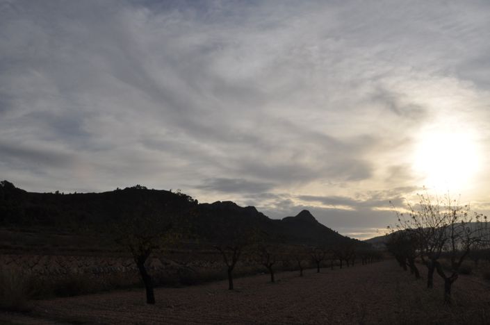 Image No.8-Land for sale