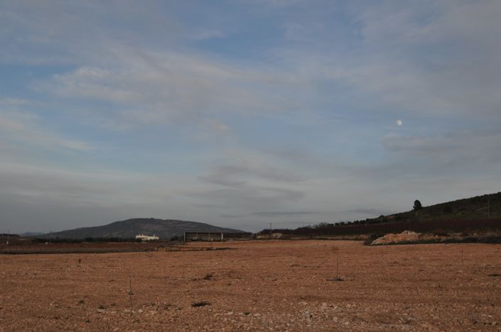 Image No.5-Land for sale