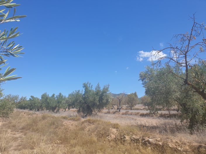 Image No.3-Land for sale