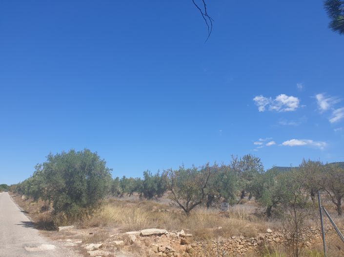 Image No.5-Land for sale