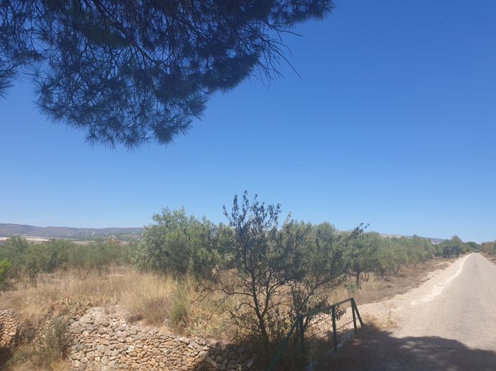 Image No.6-Land for sale