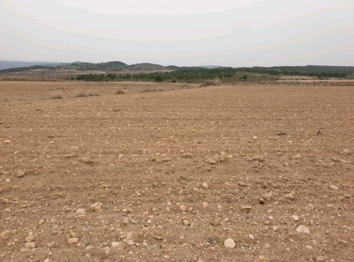 Image No.2-Land for sale