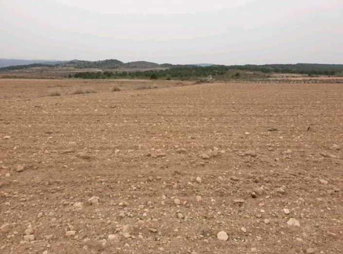 Image No.2-Terre à vendre