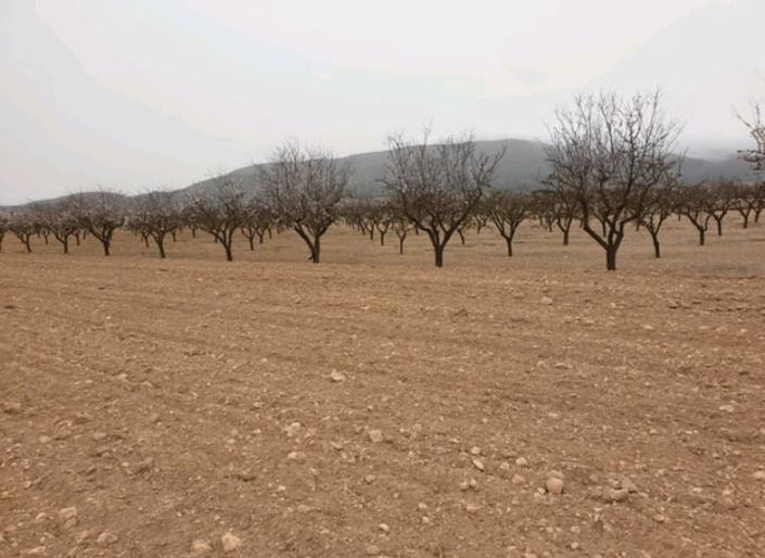 Image No.3-Land for sale