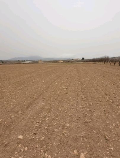 Image No.5-Land for sale