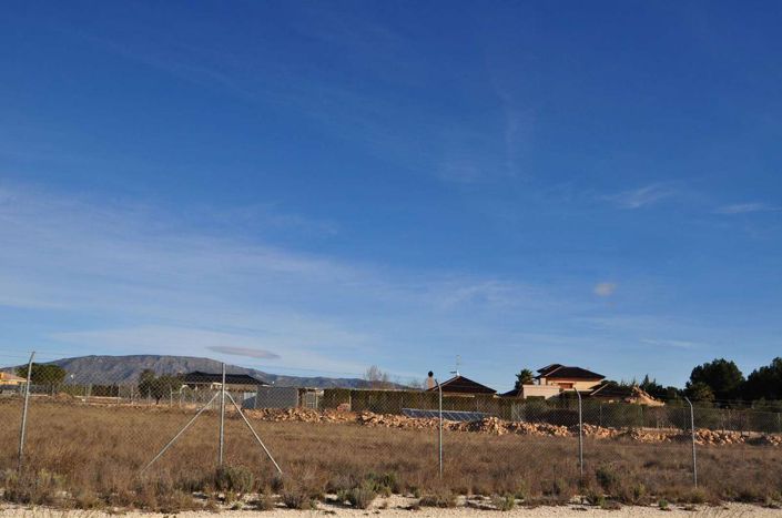 Image No.10-Terre à vendre à Pinoso