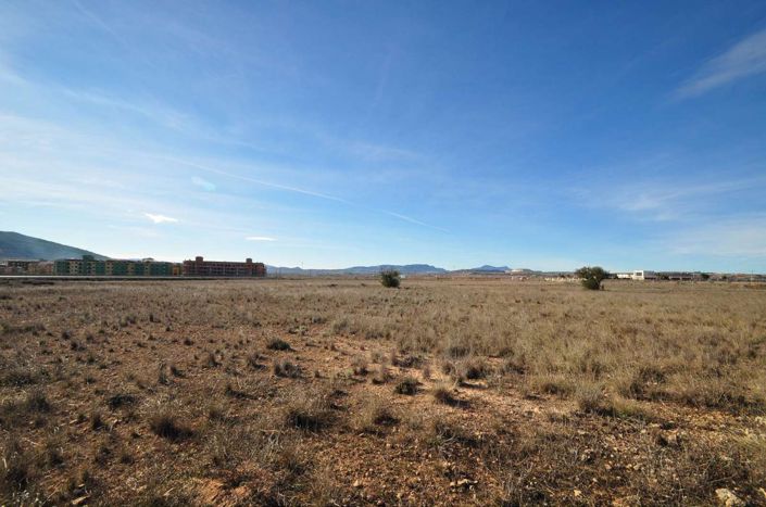 Image No.14-Terre à vendre à Pinoso