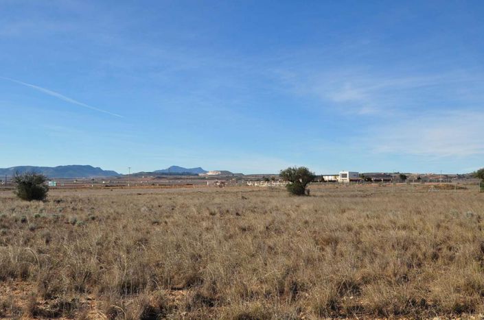 Image No.15-Terre à vendre à Pinoso