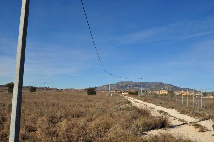 Image No.16-Terre à vendre à Pinoso