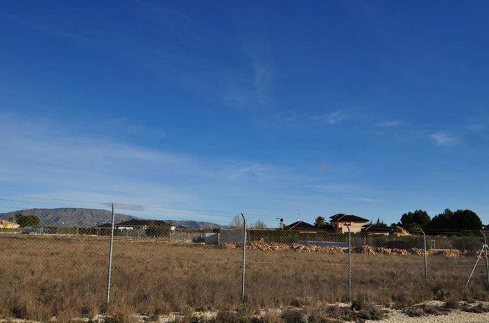 Image No.17-Terre à vendre à Pinoso