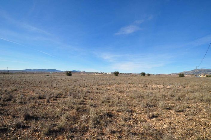 Image No.18-Terre à vendre à Pinoso