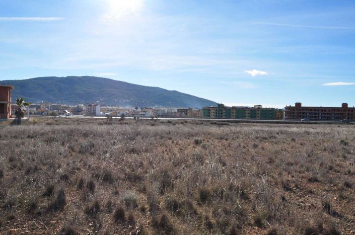 Image No.2-Terre à vendre à Pinoso