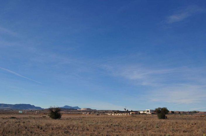 Image No.3-Terre à vendre à Pinoso