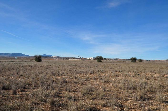 Image No.4-Terre à vendre à Pinoso