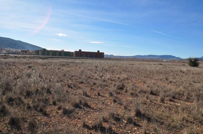 Image No.5-Terre à vendre à Pinoso