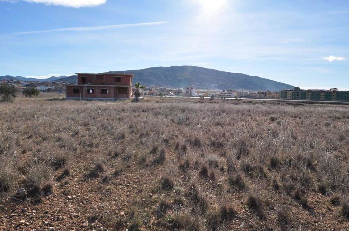 Image No.6-Terre à vendre à Pinoso