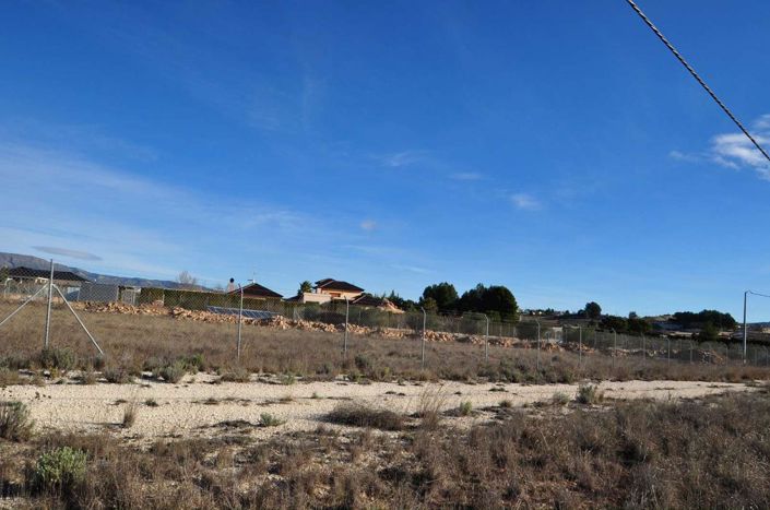 Image No.8-Terre à vendre à Pinoso