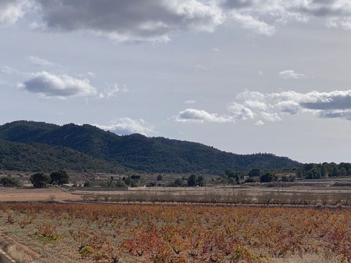Image No.16-Villa de 3 chambres à vendre à Canada de la Lena