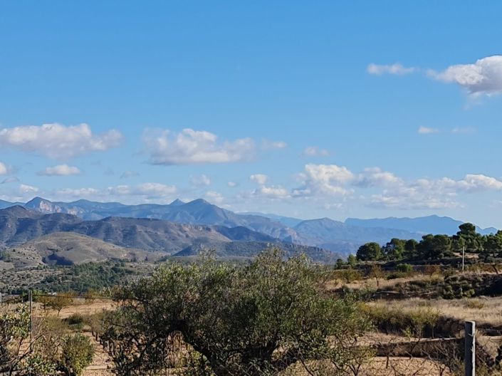 Image No.6-Land for sale