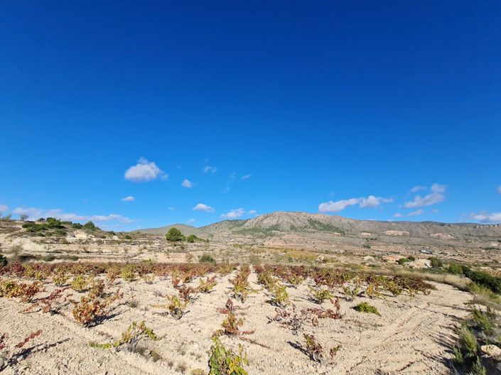 Image No.7-Land for sale