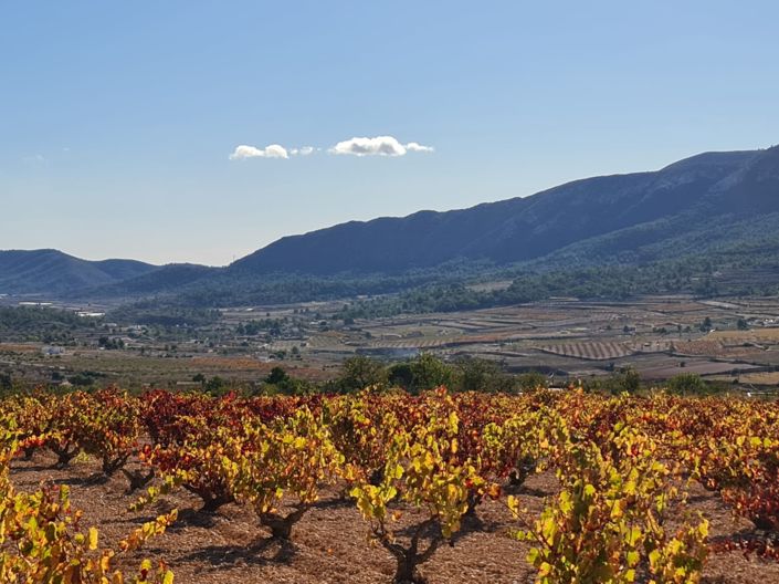 Image No.10-Terre à vendre à La Romana