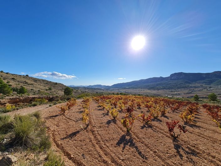 Image No.11-Terre à vendre à La Romana