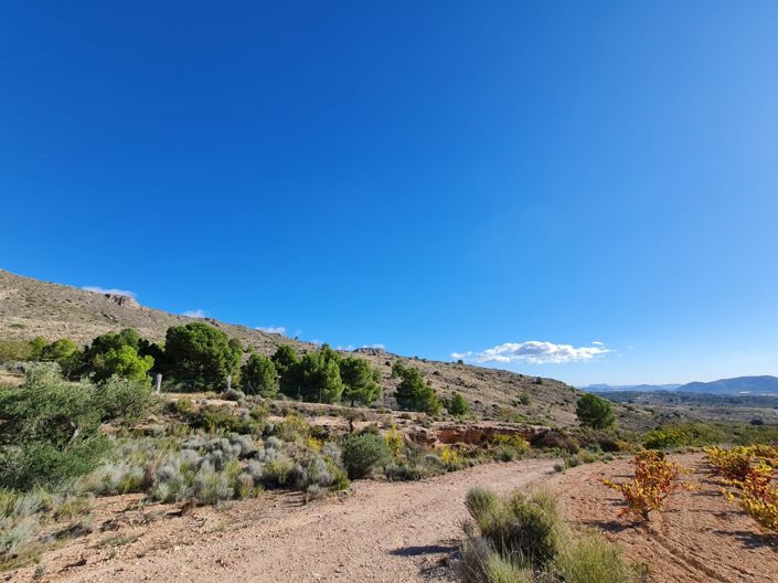 Image No.4-Terre à vendre à La Romana