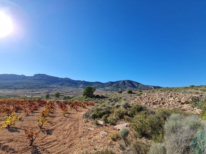 Image No.8-Terre à vendre à La Romana